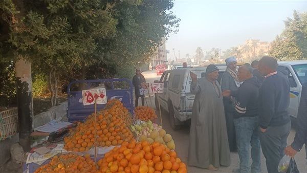 تحرير 23 محضرا متنوعا في حملة مكبرة على المحال والأسواق بقنا