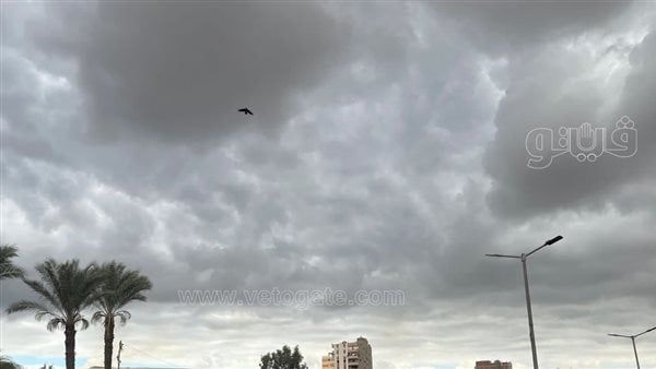شبورة تصل إلى حد الضباب، حالة الطقس اليوم الجمعة 09 - 02 - 2024 في مصر