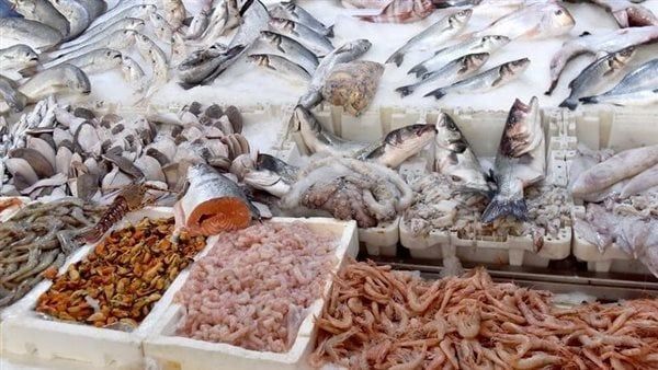 أسعار الأسماك اليوم، سعر كيلو البوري يسجل 140 جنيهًا في سوق العبور