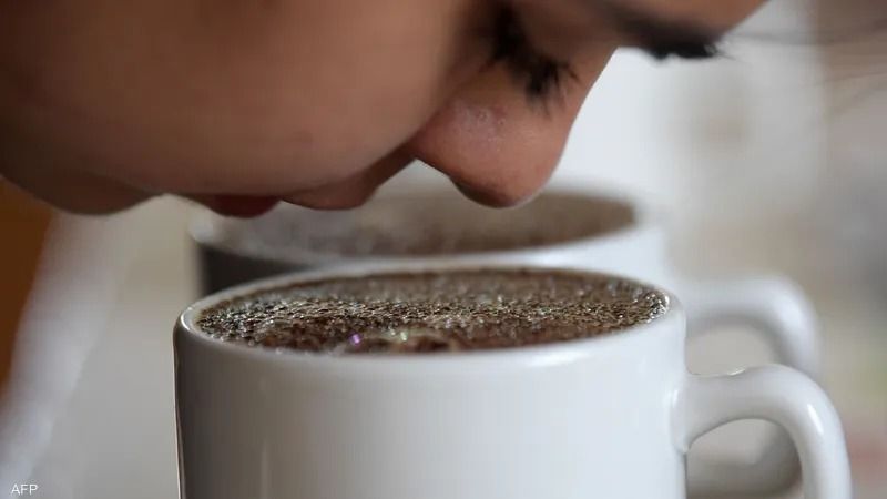 مفاجأة لعشاق القهوة.. نجاح زراعة البُن في مصر "بعد تجارب استمرت 40 عامًا"