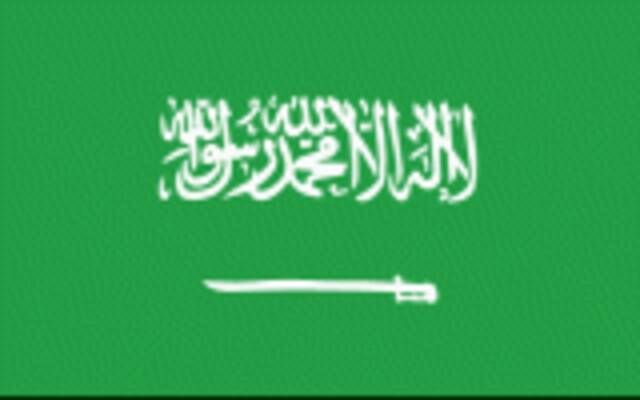 شركة برازيلية تخطط لإطلاق صندوق استثمار مدعوم من السعودية