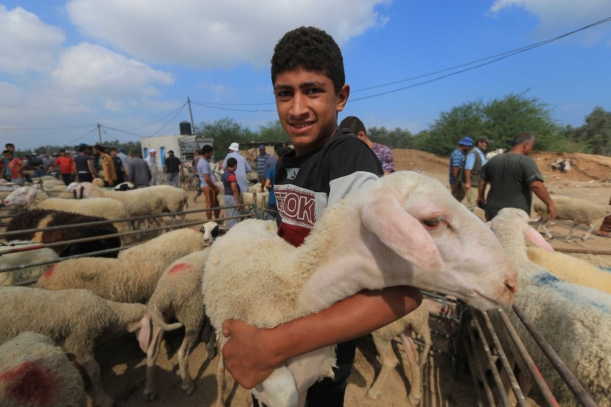 صدمة من "الأرصاد الجوية" بخصوص طقس عيد الأضحى