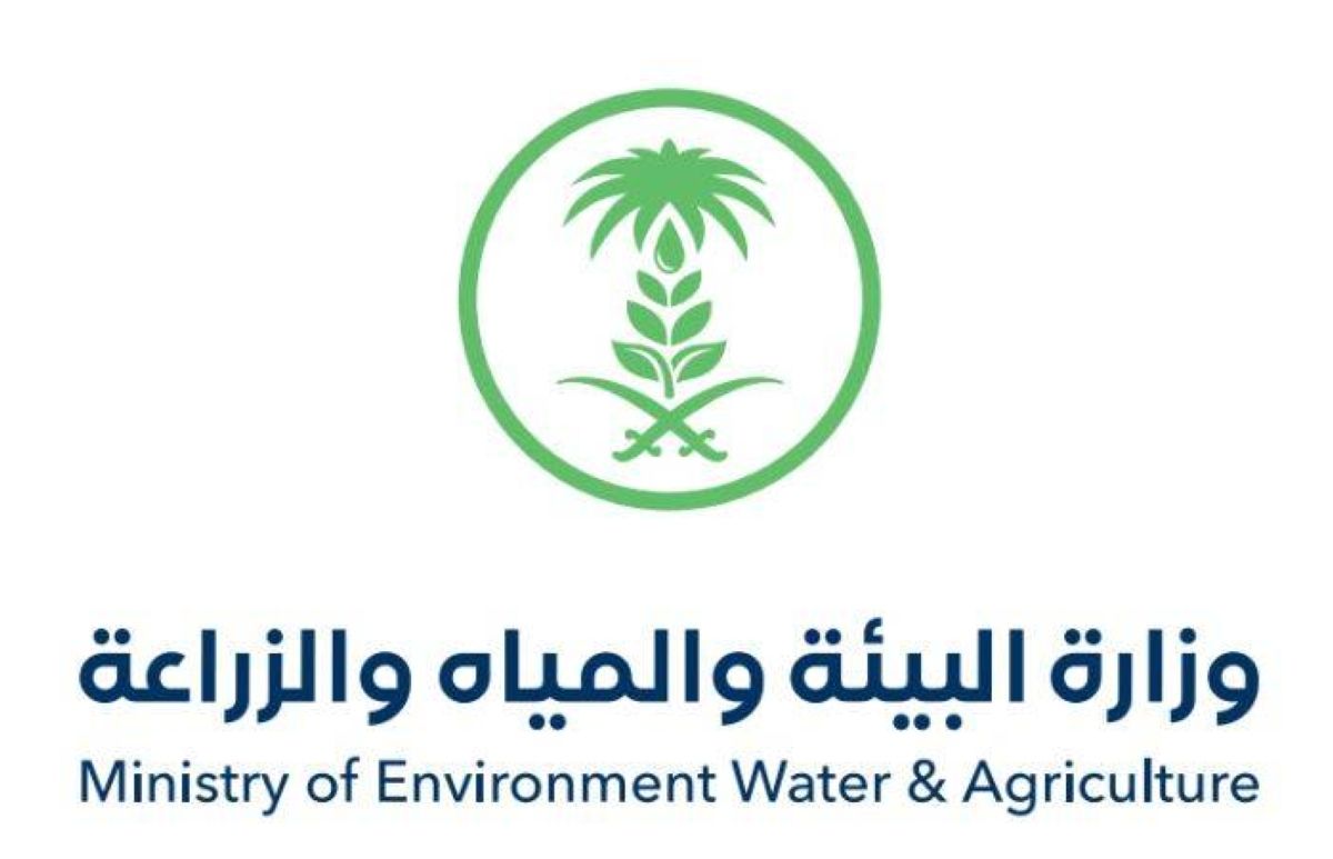 مدينة البن