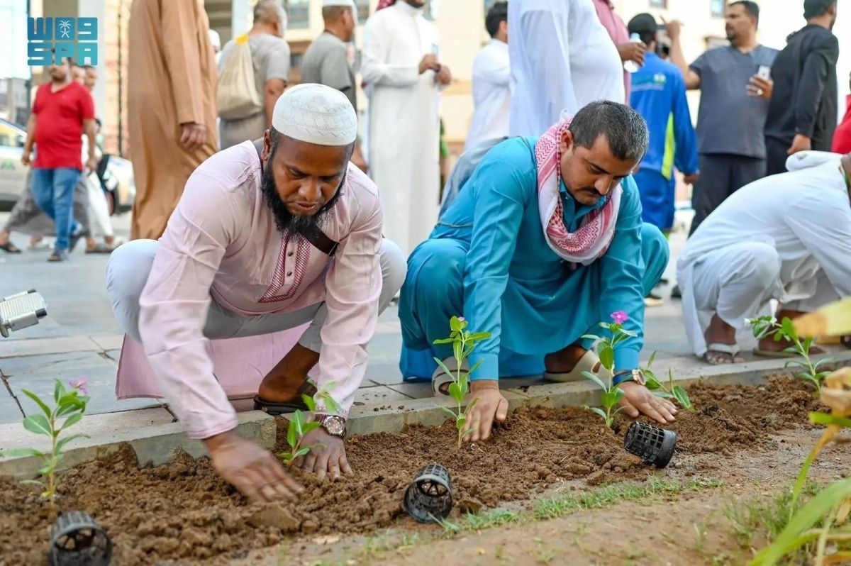 مبادرة لزراعة 300 شجرة بجوار المسجد النبوي