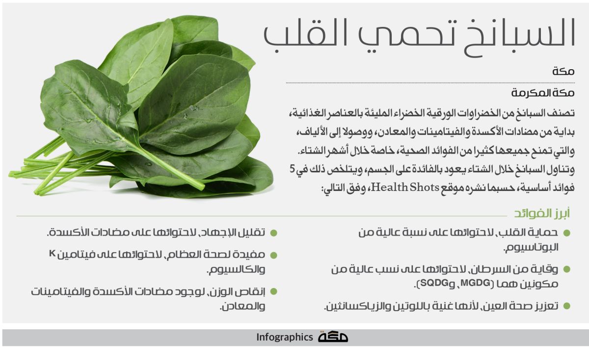 إنفوجرافيك: السبانخ تحمي القلب