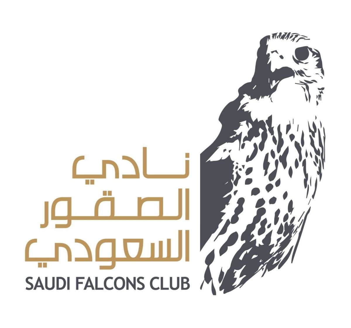 تحديث موعد معرض الصقور والصيد السعودي الدولي وتحديد موعد كأس العلا للصقور