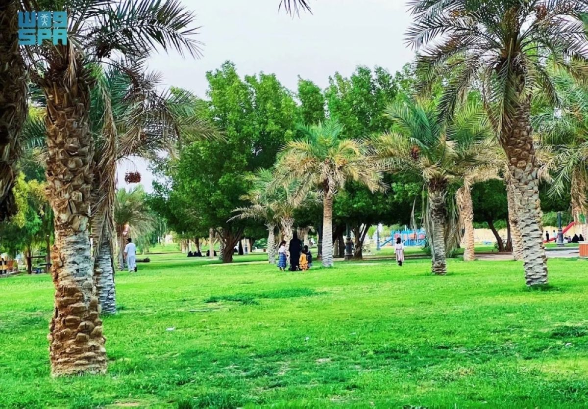 مكافحة الآفات في 13 حديقة برفحاء