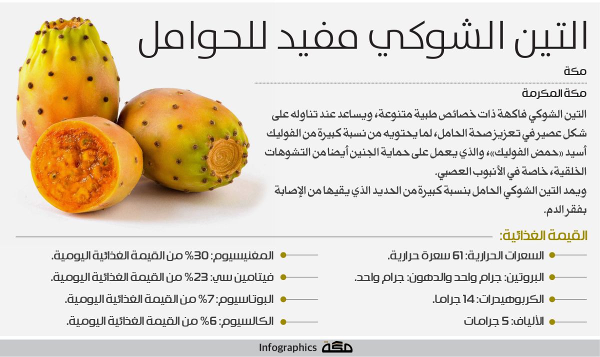 إنفوجرافيك: التين الشوكي مفيد للحوامل