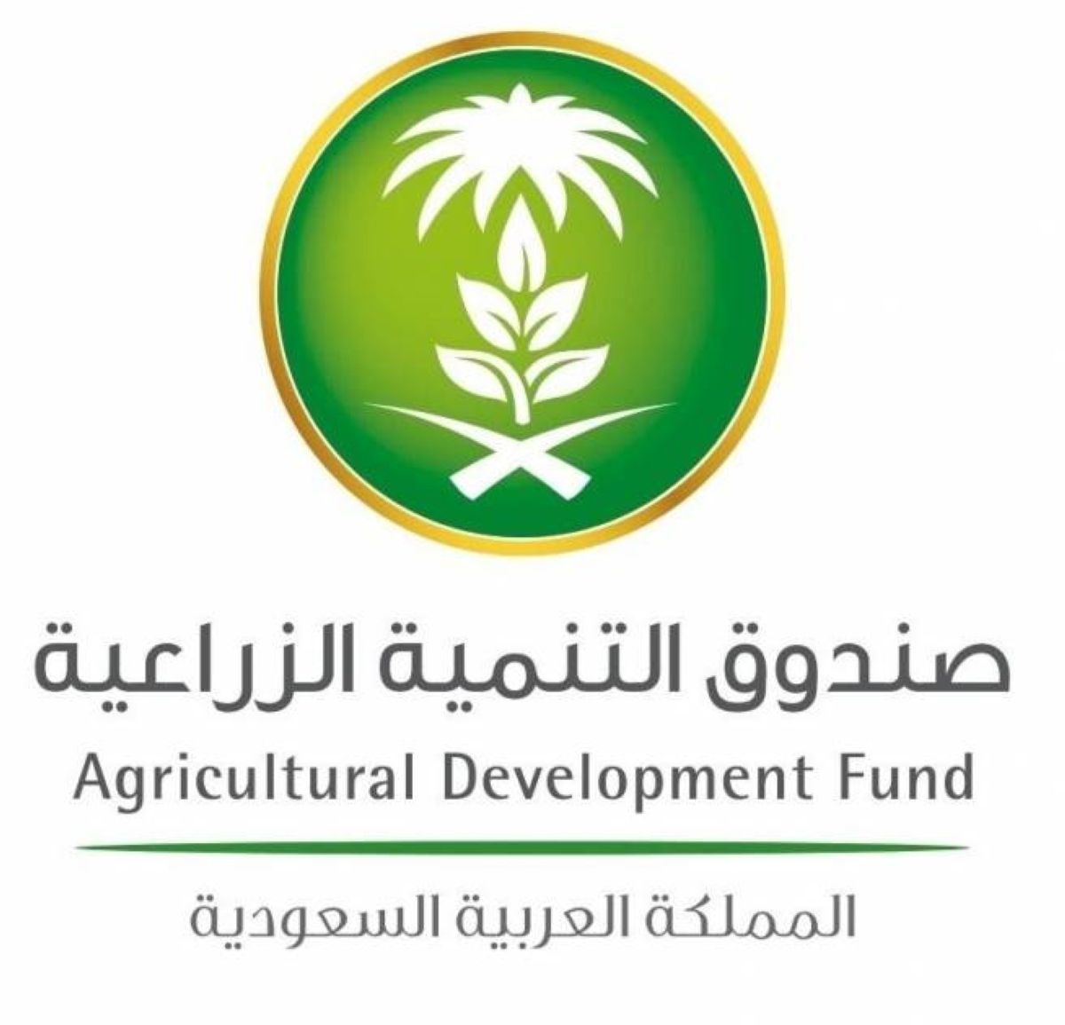 غرفة جازان