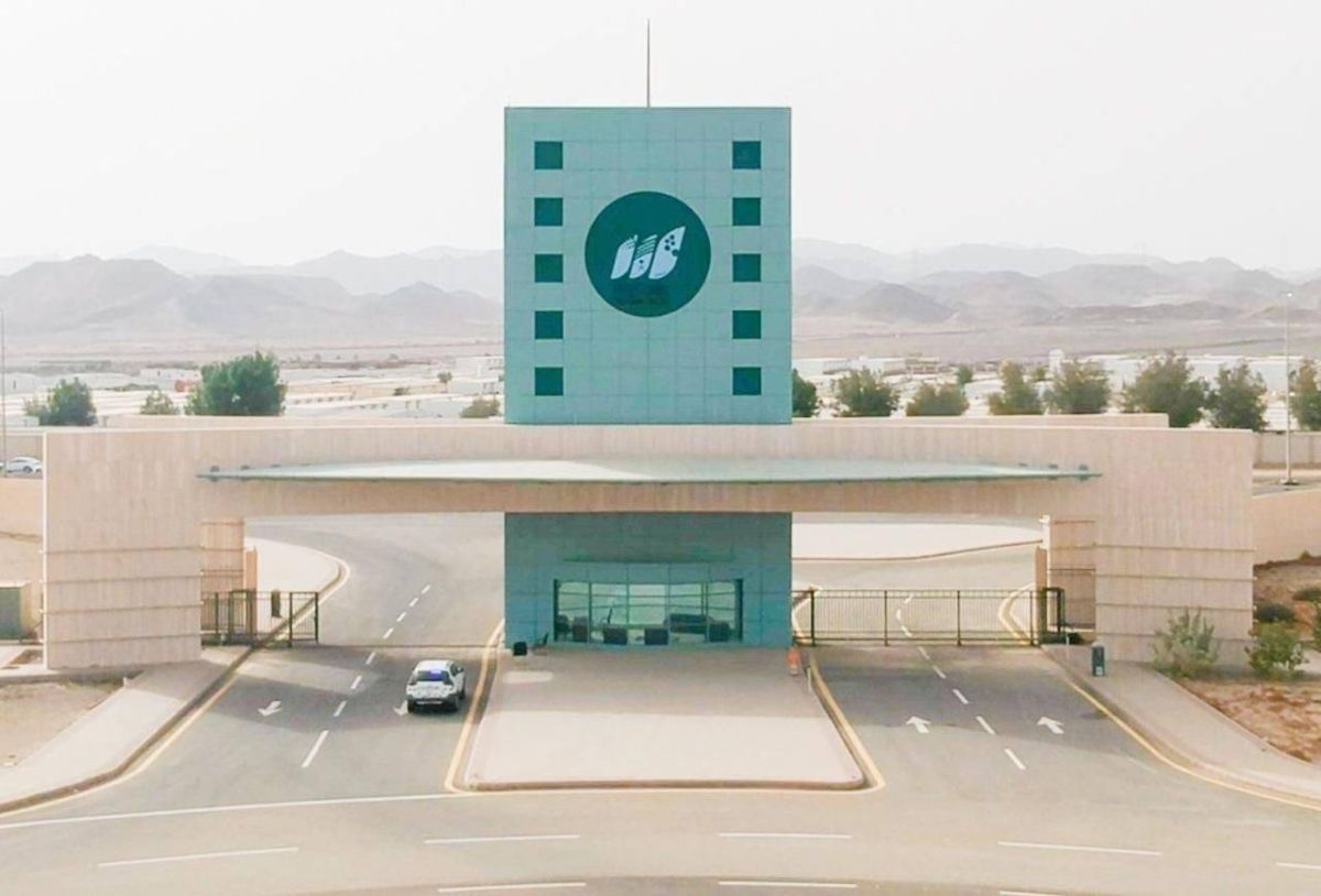 جامعة جدة تتألق بـ ٢٦ دبلوم مجاني