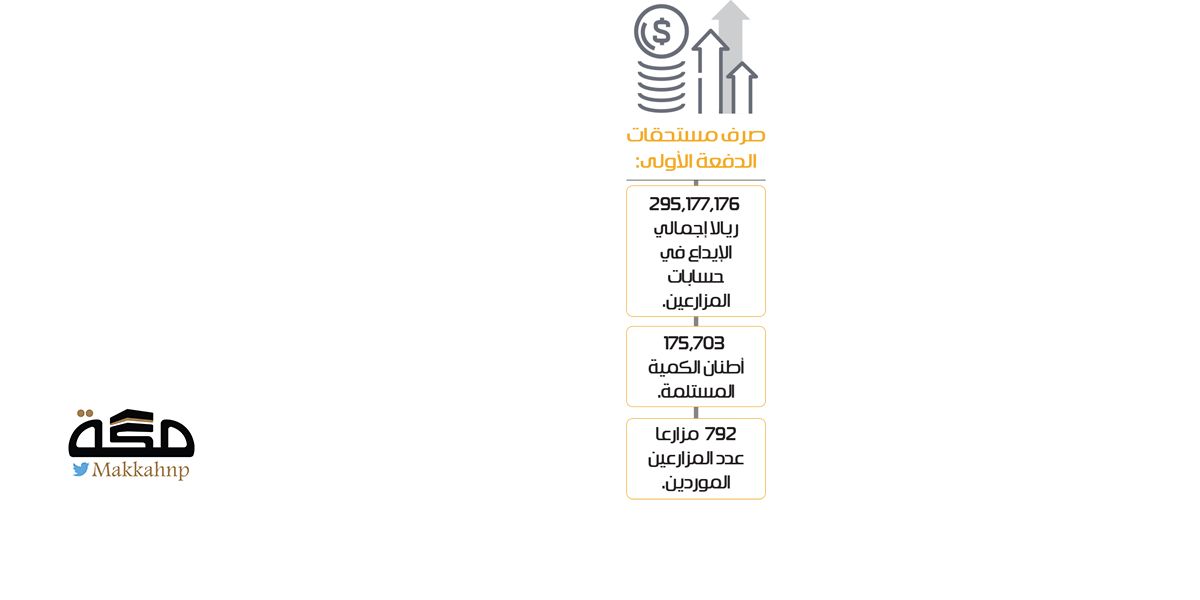 295 مليون ريال مستحقات الدفعة الأولى لمزارعي القمح