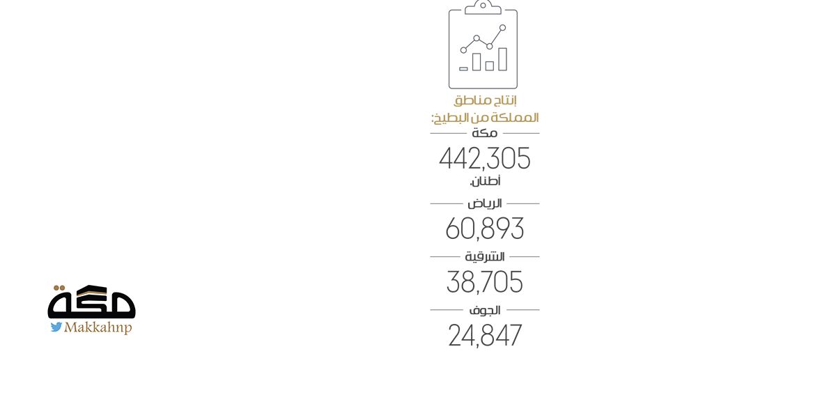 مكة تتصدر المناطق بإنتاج 442 ألف طن بطيخ
