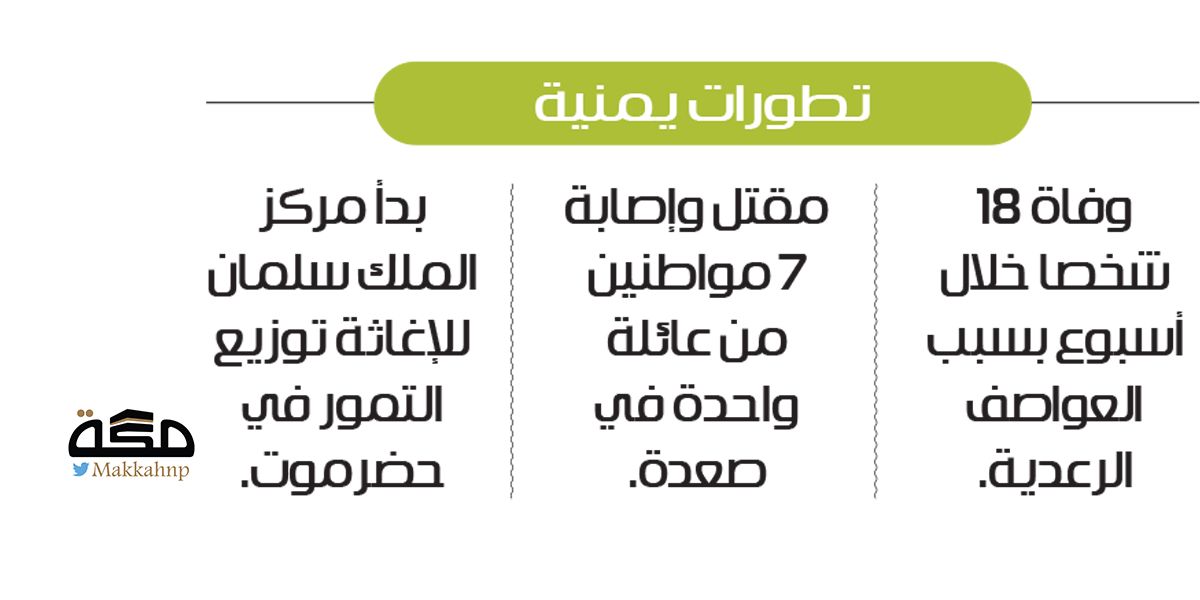 الإرياني: الحوثيون نهبوا اليمن