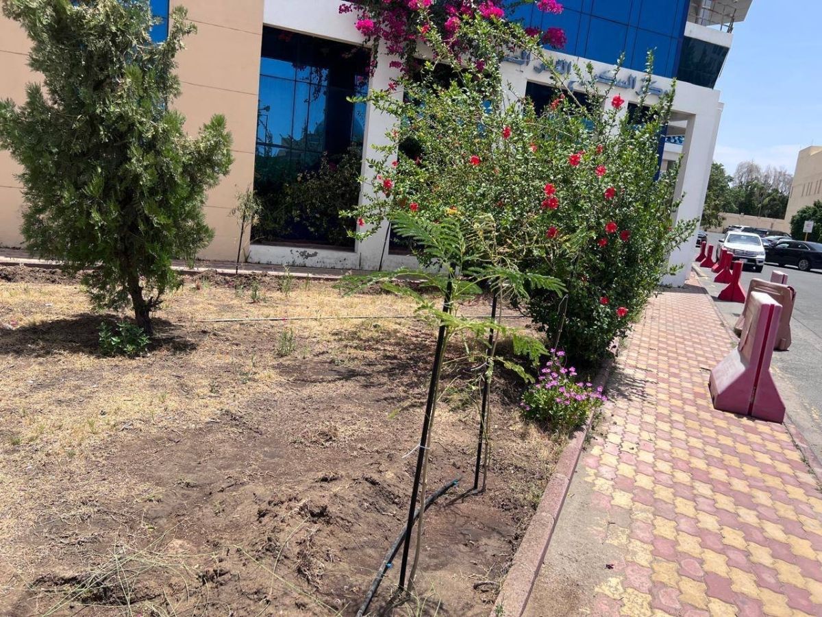 تشجير ساحات مستشفى الأمير منصور العسكري بالطائف