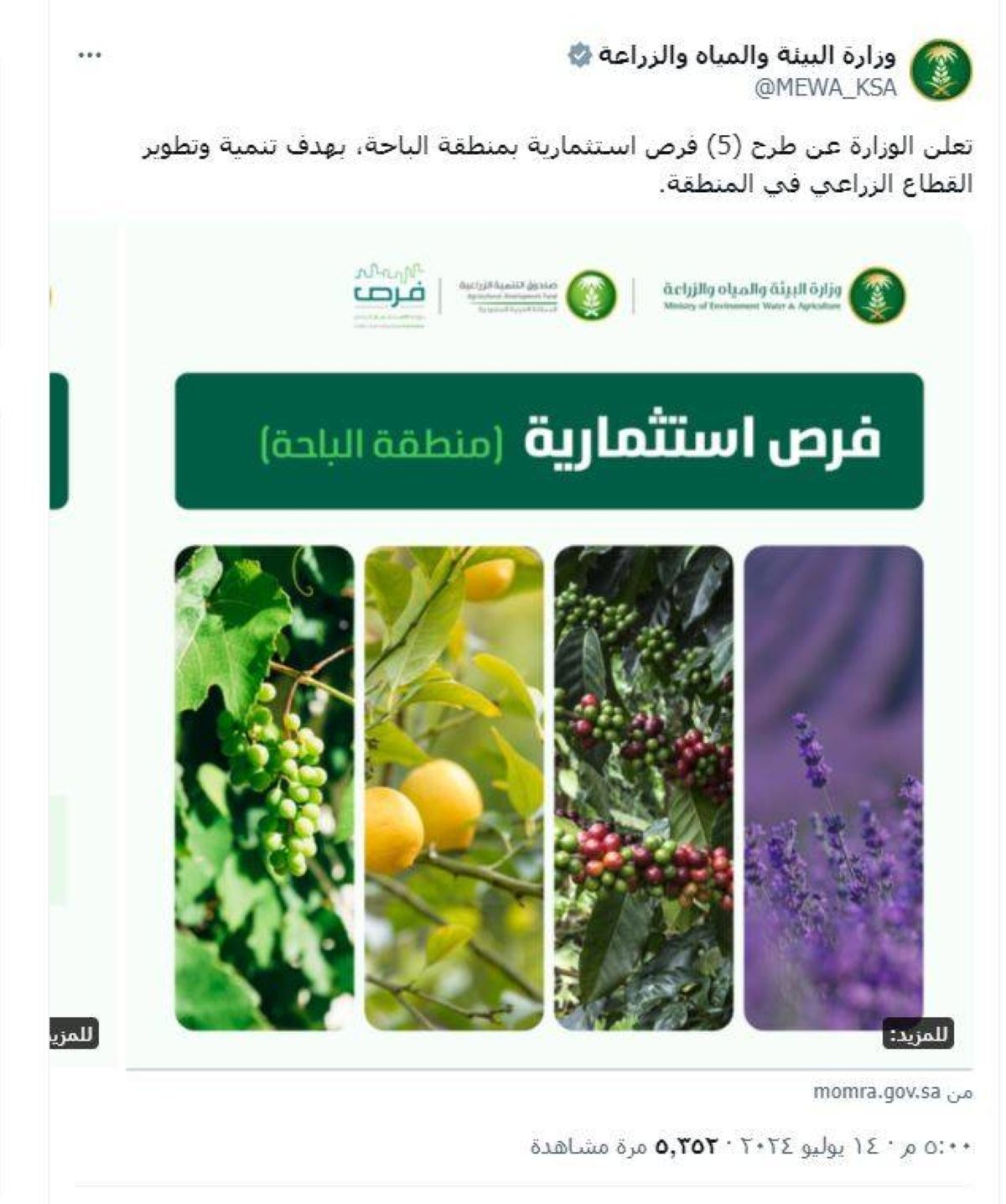 طرح 5 مشاريع زراعية لإنتاج الفاكهة والبن والزهور في الباحة