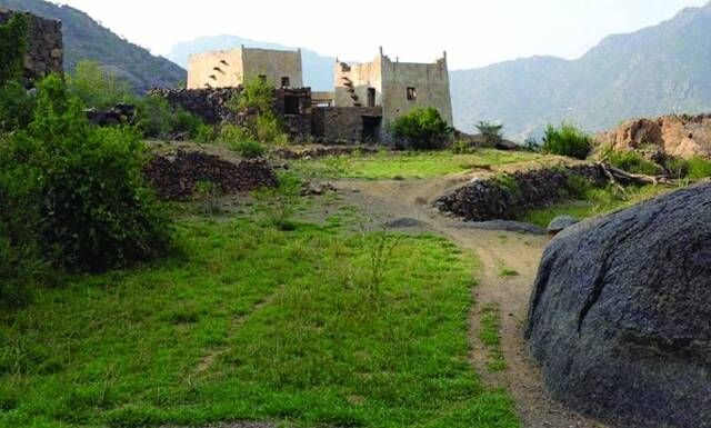 "ريف السعودية" يُناقش تطوير أنشطة مقدمي خدمات السياحة الزراعية بالمدينة المنورة