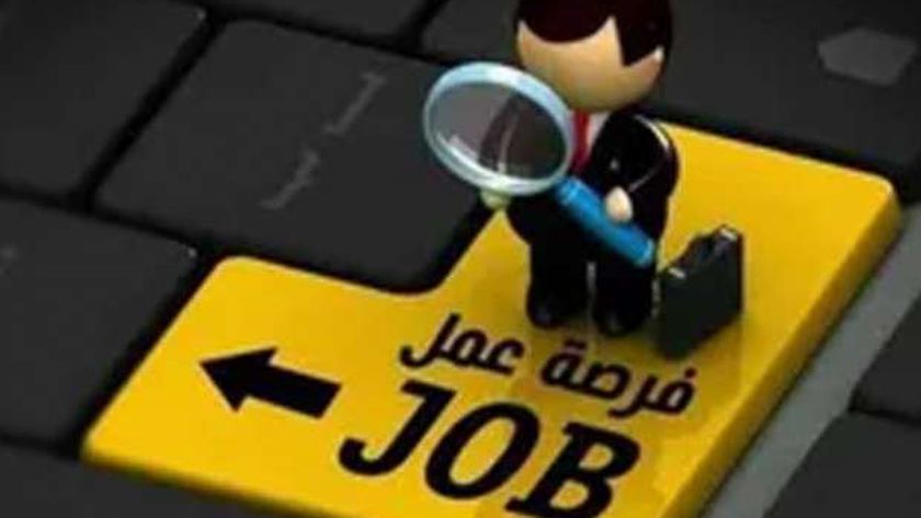مهندسين وعمال.. اعرف تفاصيل فرص العمل في ملتقى توظيفي بالصعيد