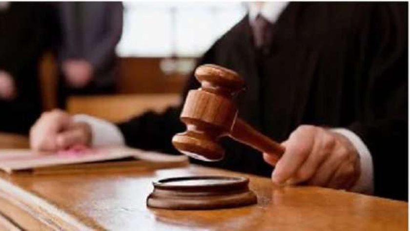 شروط مزاولة مهنة التجارة للمصريين والأجانب.. أبرزها بلوغ السن القانونية
