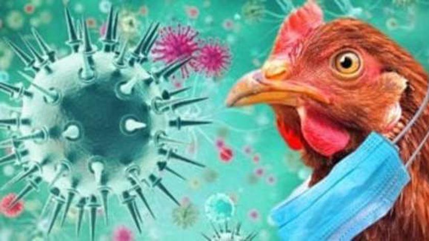 ما هي أعراض إنفلونزا الطيور بعد تسجيل أول حالة إصابة به في بريطانيا؟