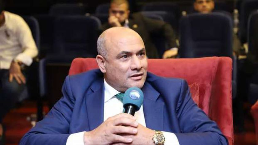 قيادي بـ«مستقبل وطن»: علاقات مصر الخارجية تشهد تطورا غير مسبوق