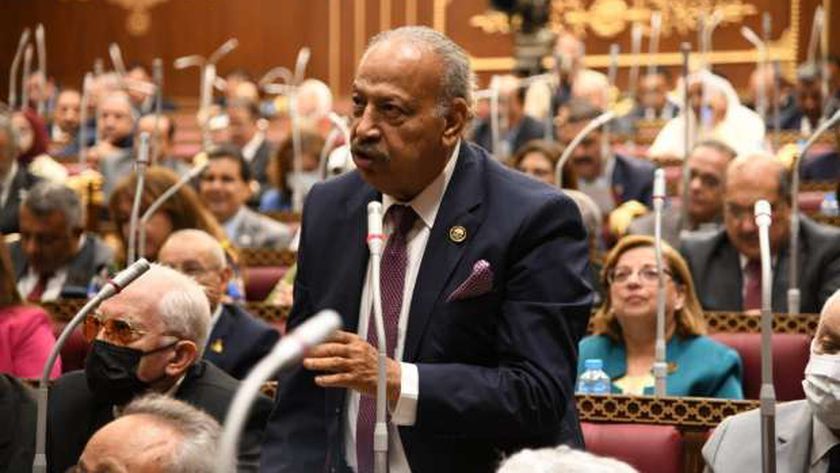عضو بـ«الشيوخ»: استقرار السياسة النقدية يعزز الثقة في الاقتصاد المصري