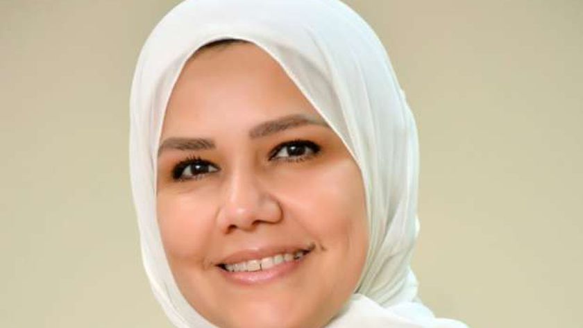 رئيس مصلحة الضرائب: وضعنا نظاما متكاملا لتسهيل إجراءات المشروعات الصغيرة