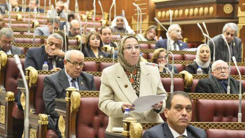 عضو بـ«الشيوخ»: «بداية جديدة» تستهدف تحسين جودة حياة المواطنين