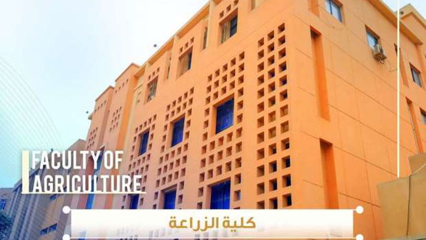 رابط مباشر.. نتيجة تنسيق الدبلومات الفنية 2024