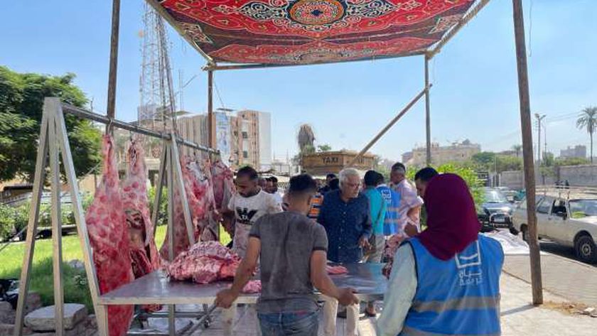 أهالي محافظة الشرقية يشيدون بمبادرة حياة كريمة لتوزيع اللحوم: الأسعار جيدة
