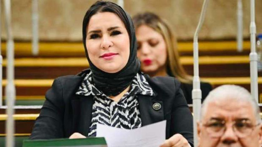 نيفين الكاتب: تعزيز الهوية الوطنية أساس لمستقبل مستدام لمصر