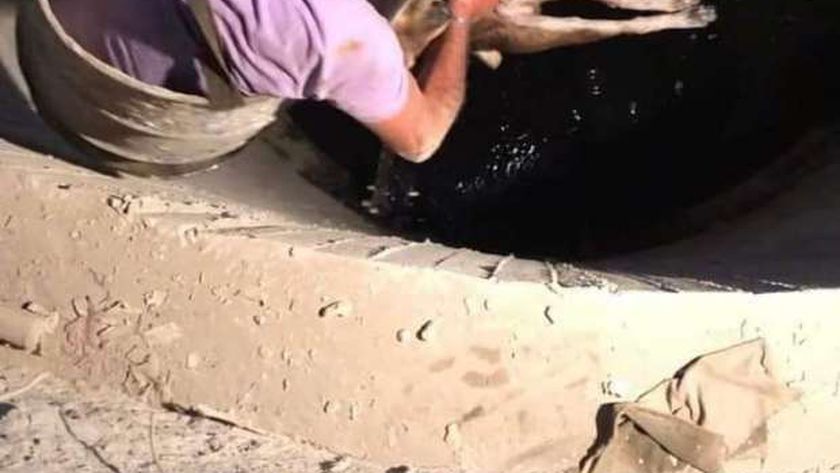 6 ساعات من الرعب داخل بئر.. «وليد» يواجه الموت لإنقاذ حياة كلب ضال (صور)