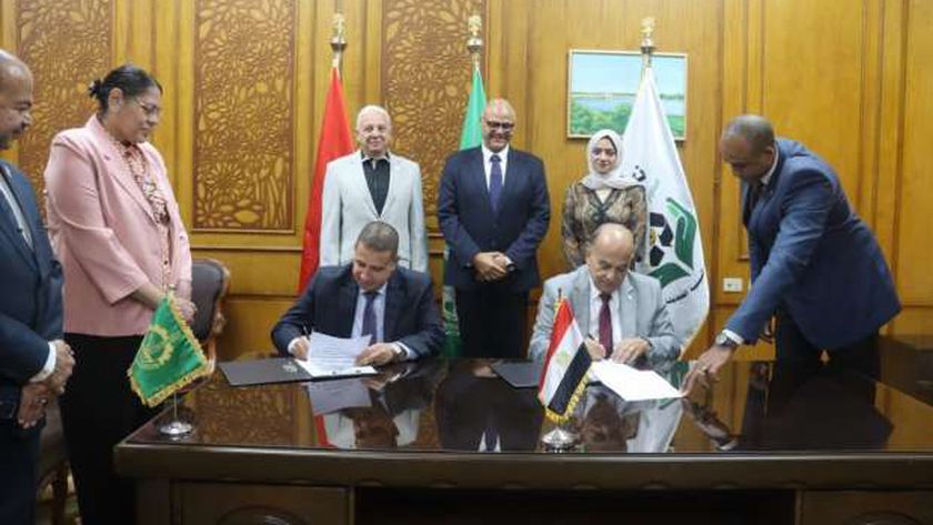 محافظة القليوبية يناقش إنشاء مصانع متخصصة في تحويل القمامة إلى طاقة كهربائية