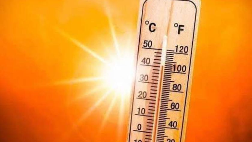«الفاو»: 8% نسبة خسارة الدخل سنويا للأسر التي تعولها النساء بسبب تغير المناخ
