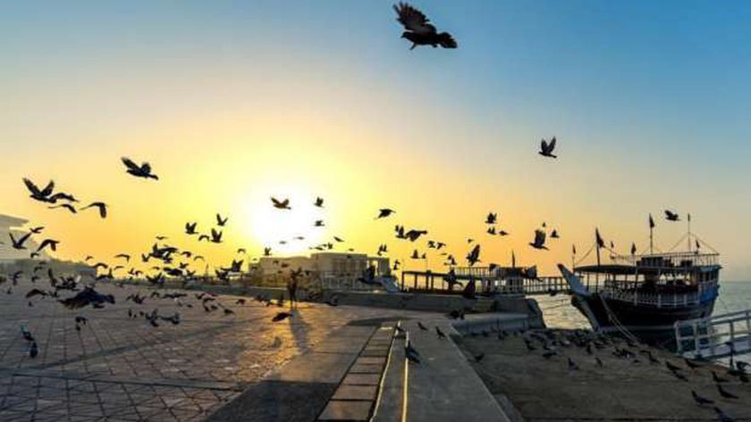 انخفاض درجات الحرارة اليوم السبت.. «العظمى» على القاهرة 29 مئوية