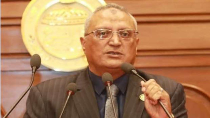 عضو بـ«الشيوخ»: الدولة حريصة على تطوير برامج الدعم ووصولها للأكثر احتياجا
