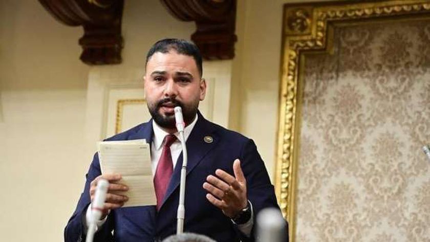 النائب إبراهيم الديب: العلاقات بين مصر والجزائر نموذج للتضامن العربي