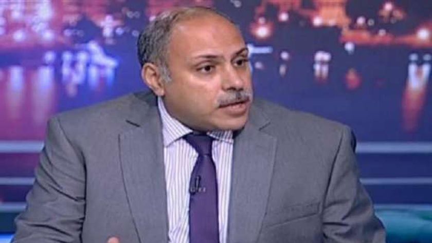 خبير: العدوان الإسرائيلي على غزة سيستمر حتى إعلان نتيجة الانتخابات الأمريكية