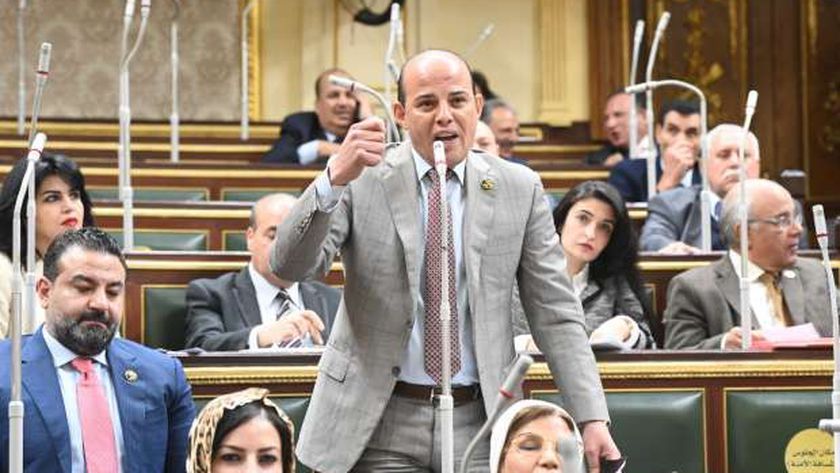 عضو بـ«النواب»: مصر تتعرض لحملة ممنهجة من الشائعات لإبعادها عن دعم فلسطين