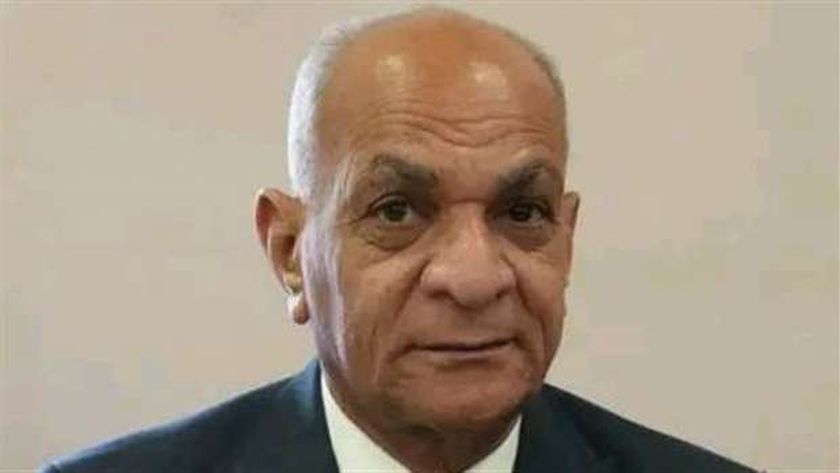 رئيس حزب الريادة: مصر استطاعت التصدي لمخططات «الفوضى الخلاقة»