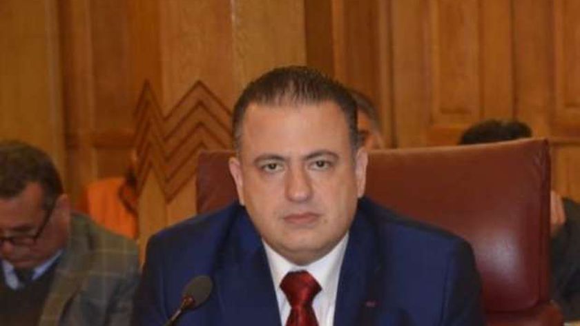 حزب حماة الوطن: كلمة مصر في مجلس الأمن تعكس مواقفها الثابتة
