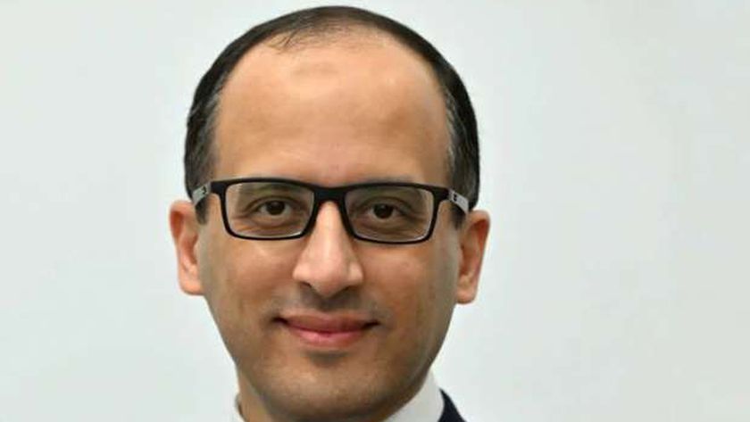 متحدث الحكومة: «جريت وول موتورز» تعتزم تصنيع 5 أنواع من السيارات في مصر