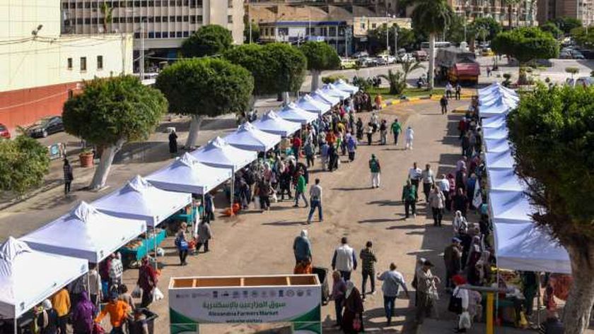 استحداث ميزتين جديدتين في سوق المزارعين بالإسكندرية اليوم.. فرصة ذهبية