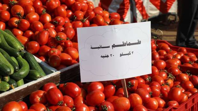 كيف تحوّل سوق اليوم الواحد كل جمعة إلى ملاذ آمن للمواطنين؟