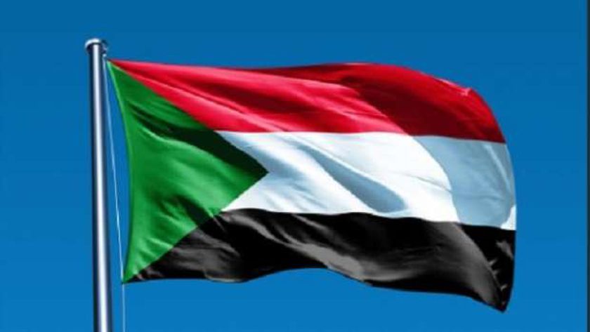 الجيش السوداني يحقق تقدما على حساب ميليشيا الدعم السريع بولاية الجزيرة