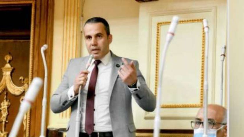 عضو «حقوق إنسان النواب»: الدولة قادرة على مواجهة التحديات وحماية الأمن القومي