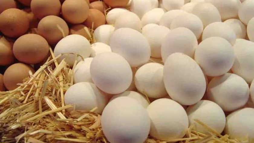 سعر كرتونة البيض اليوم الاثنين 23-12-2024 للمستهلك