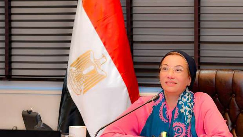 جهود الدولة في «الاستثمار البيئي والمناخي» 2024.. شراكات عالمية ومشروعات جديدة