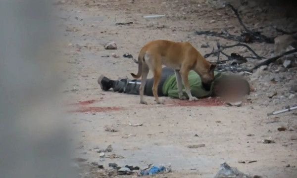 الدفاع المدني بغزة: لا نستطيع تلبية نداءات الاستغاثة ومئات الشهداء بالشوارع