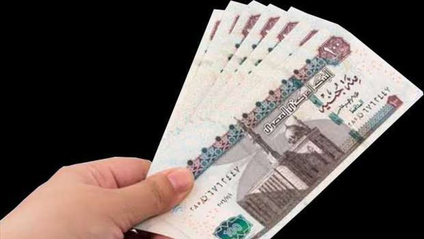 «العمل» تستعد لصرف 1000 جنيه منحة جديدة للعمالة غير المنتظمة.. اعرف موعد الصرف
