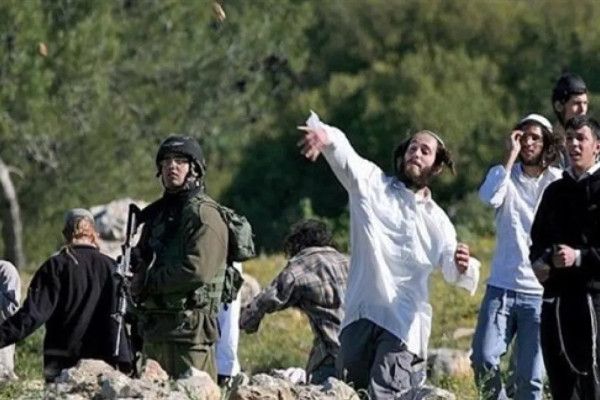 "مقاومة الجدار": 1691 اعتداءً نفذها الجيش ومستوطنوه في أيار